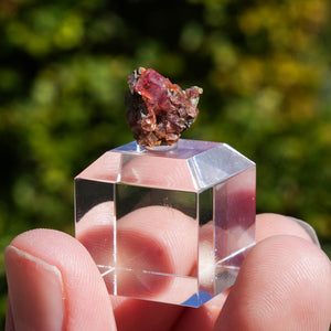 rhodochrosiet potosi mexico