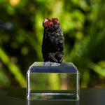rhodochrosiet potosi mexico