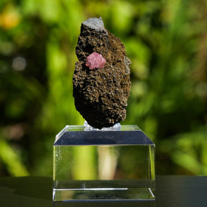 rhodochrosiet potosi mexico