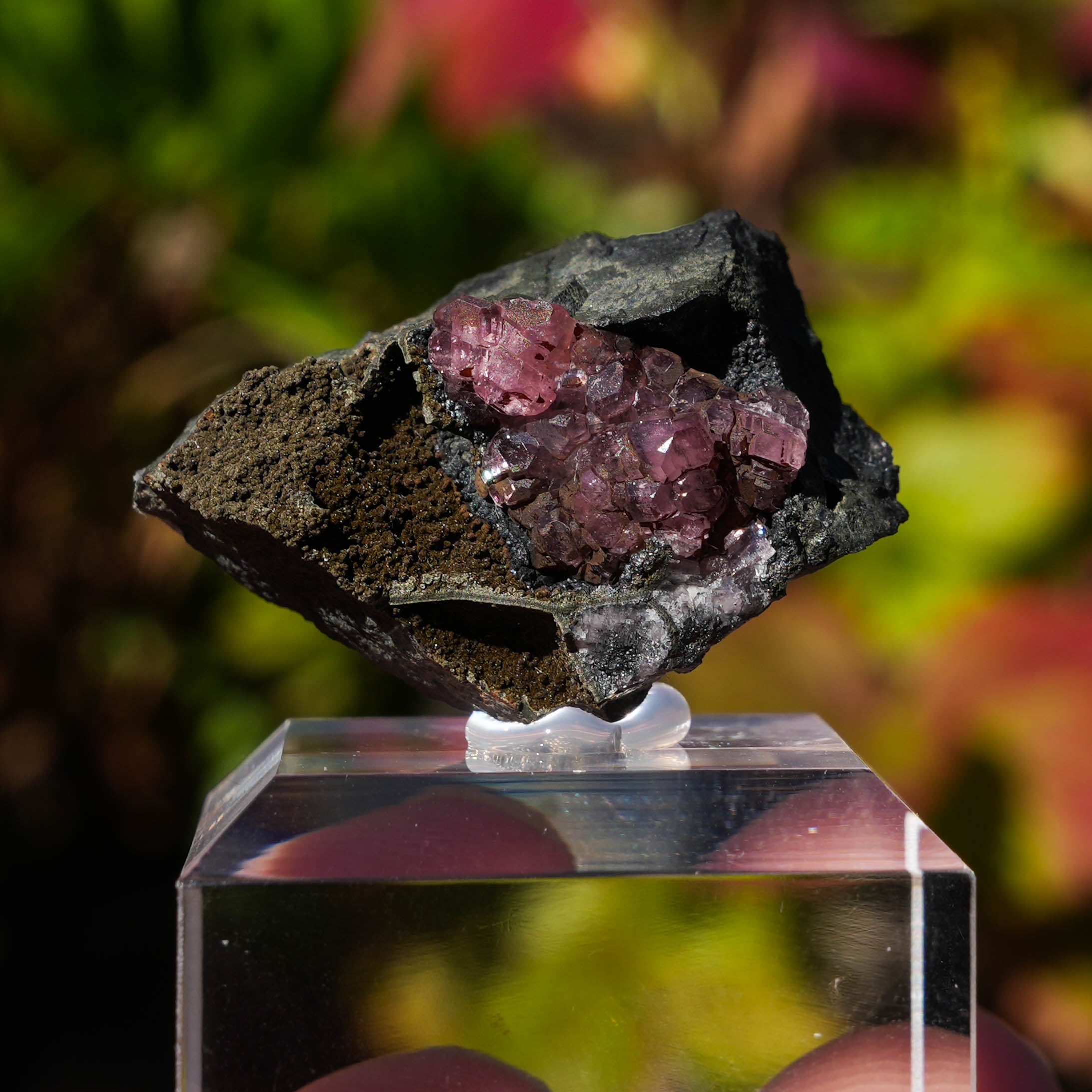 rhodochrosiet potosi mexico