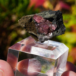 rhodochrosiet potosi mexico