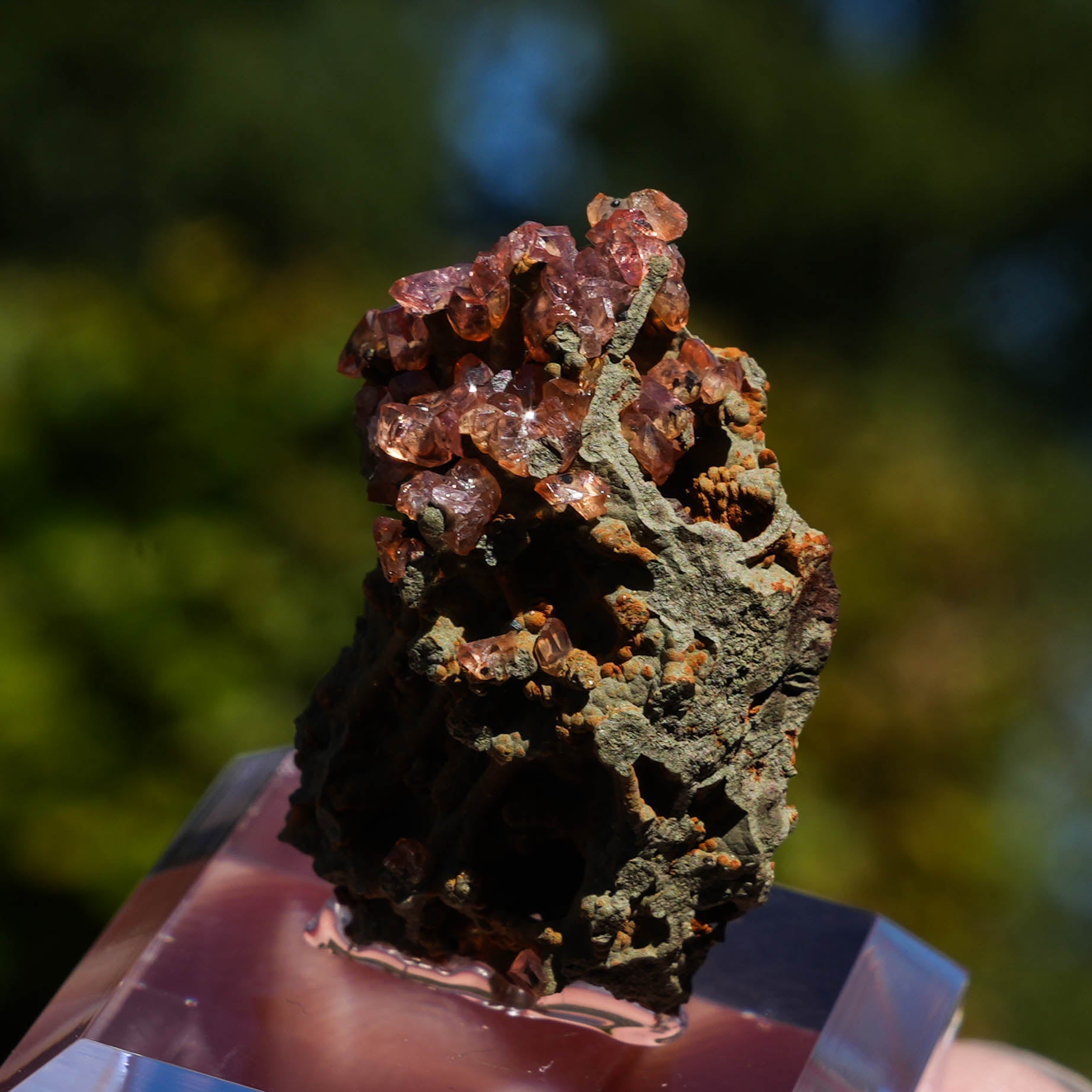 rhodochrosiet potosi mexico