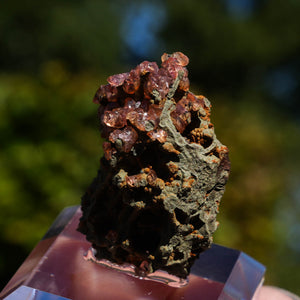 rhodochrosiet potosi mexico