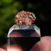 rhodochrosiet potosi mexico