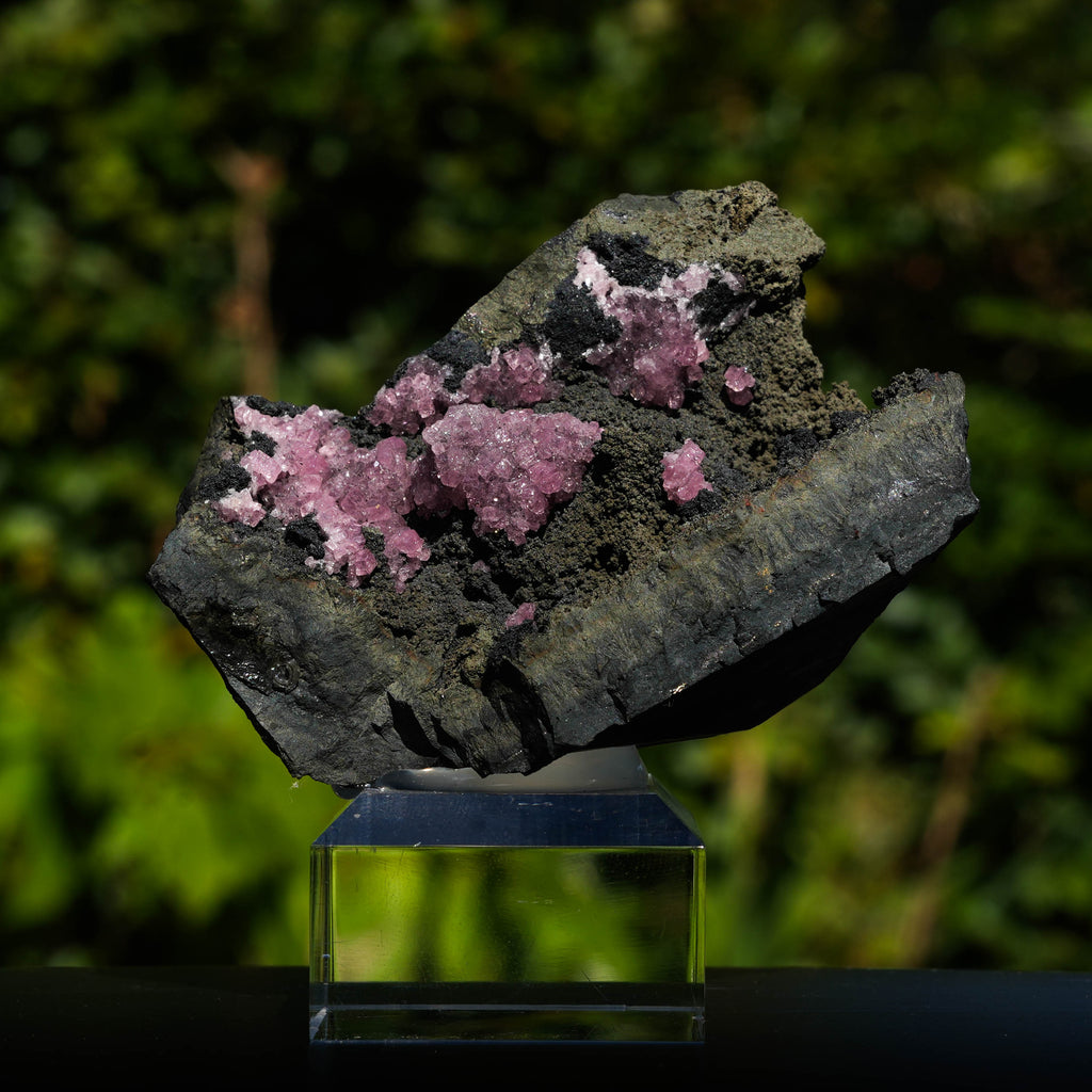 rhodochrosiet potosi mexico
