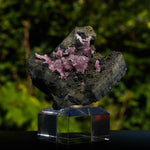 rhodochrosiet potosi mexico