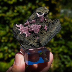 rhodochrosiet potosi mexico