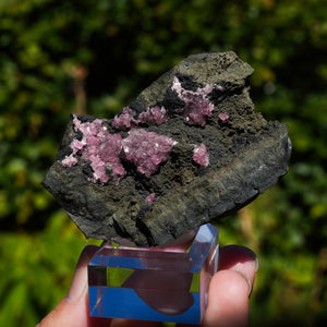rhodochrosiet potosi mexico