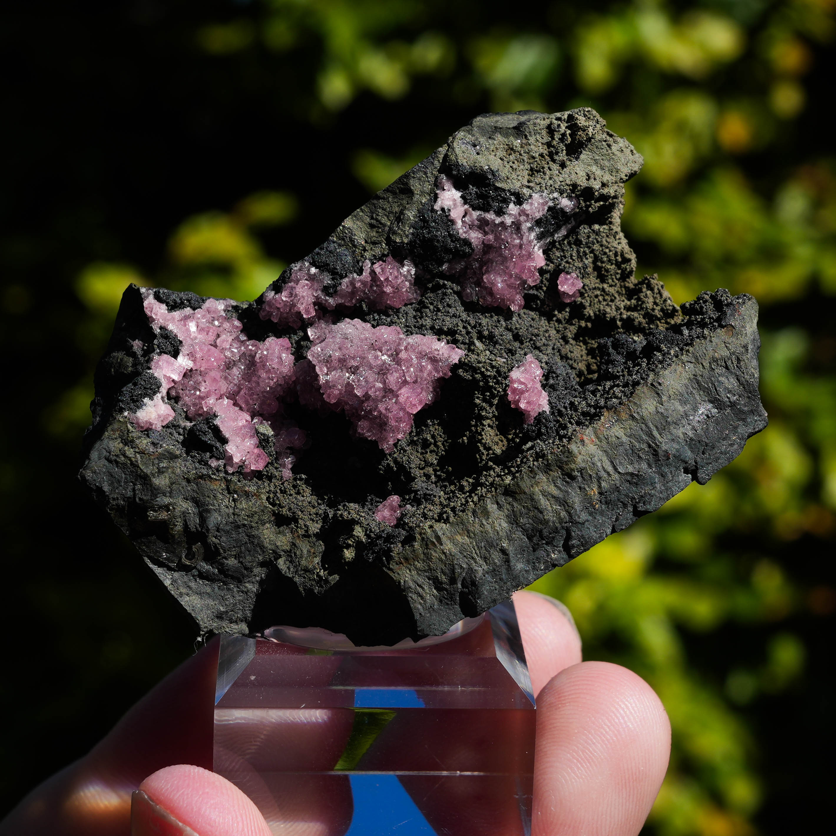 rhodochrosiet potosi mexico