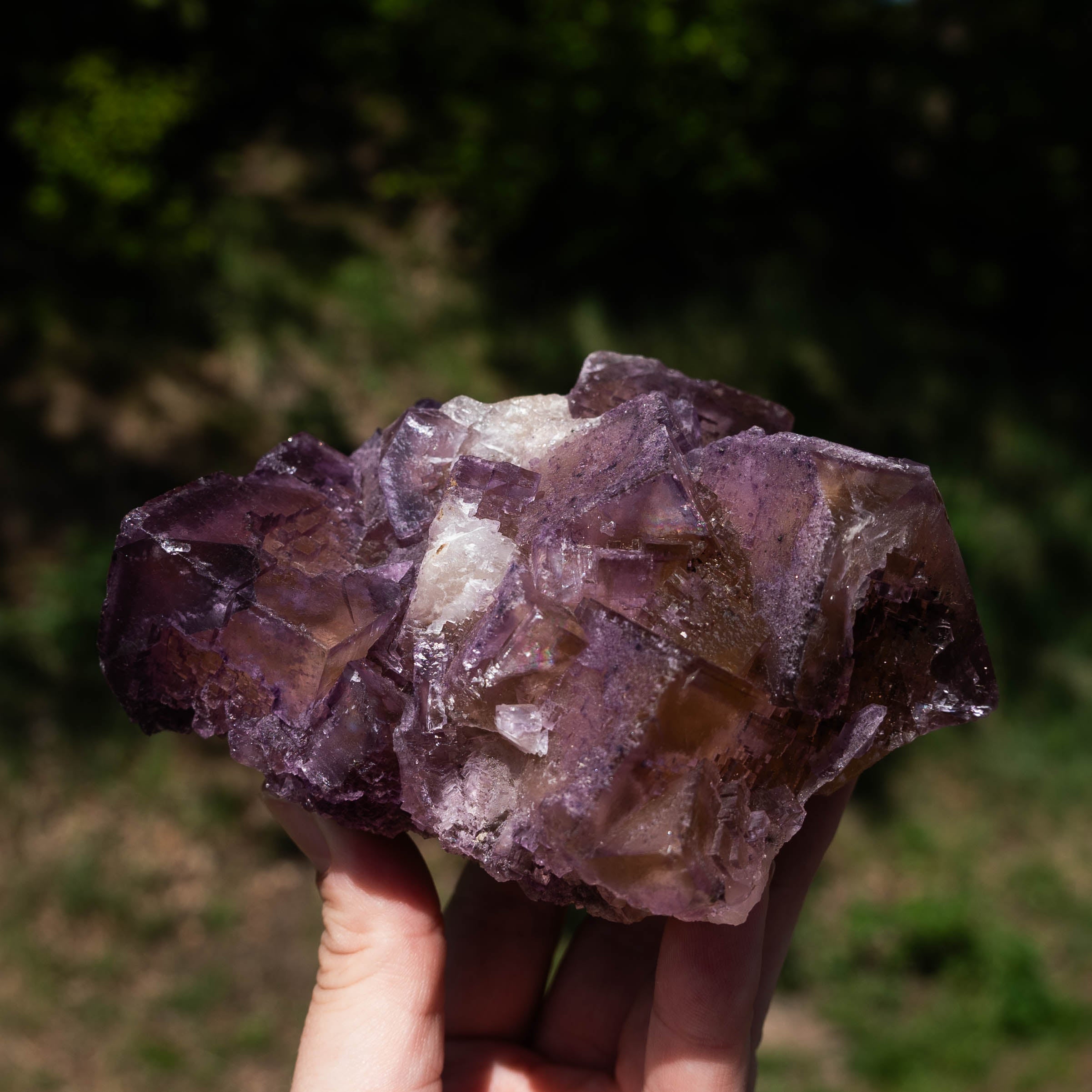 fluoriet minerva illinois