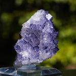 citrien cluster congo