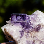 fluoriet shangbao china