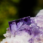 fluoriet shangbao china