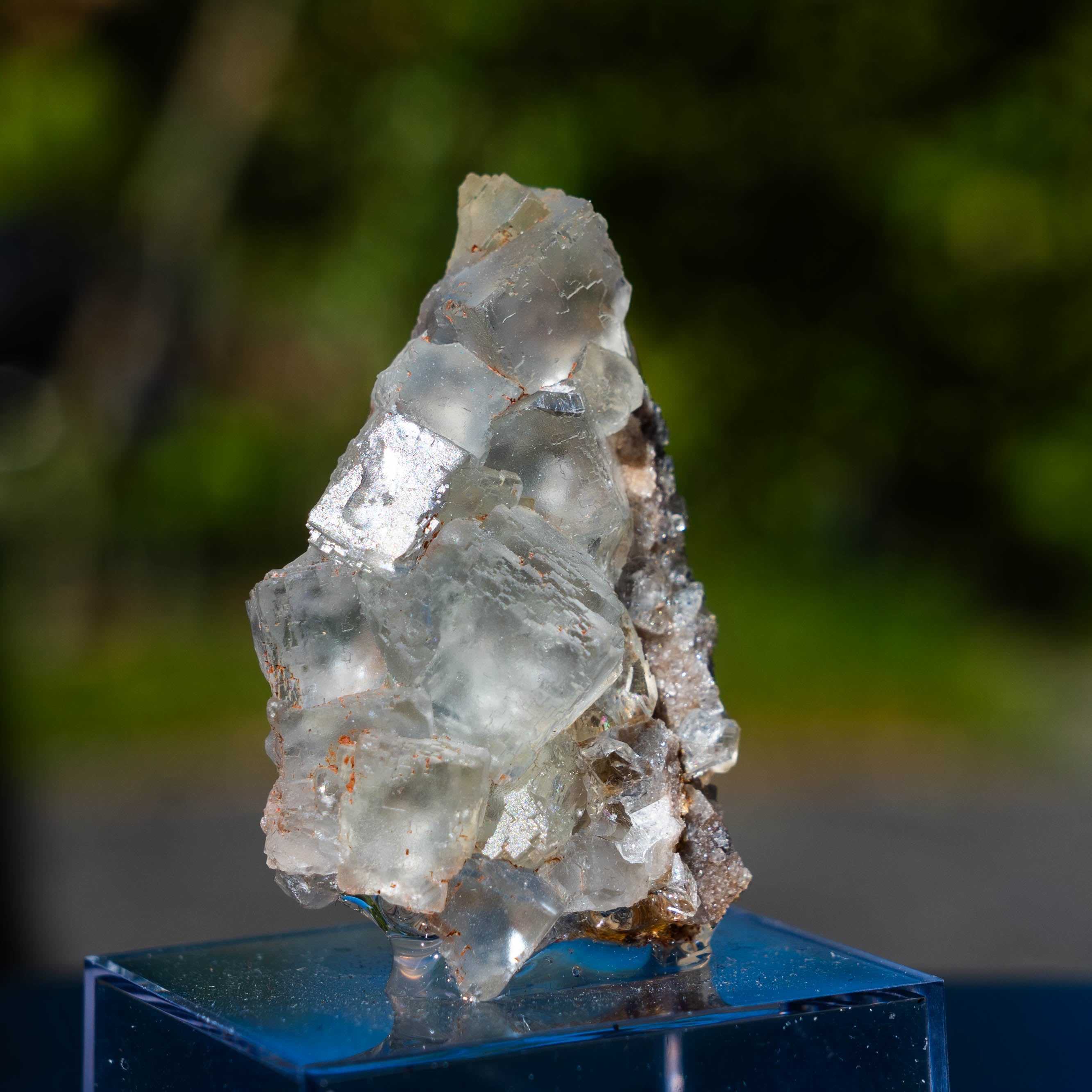 fluoriet collada spanje