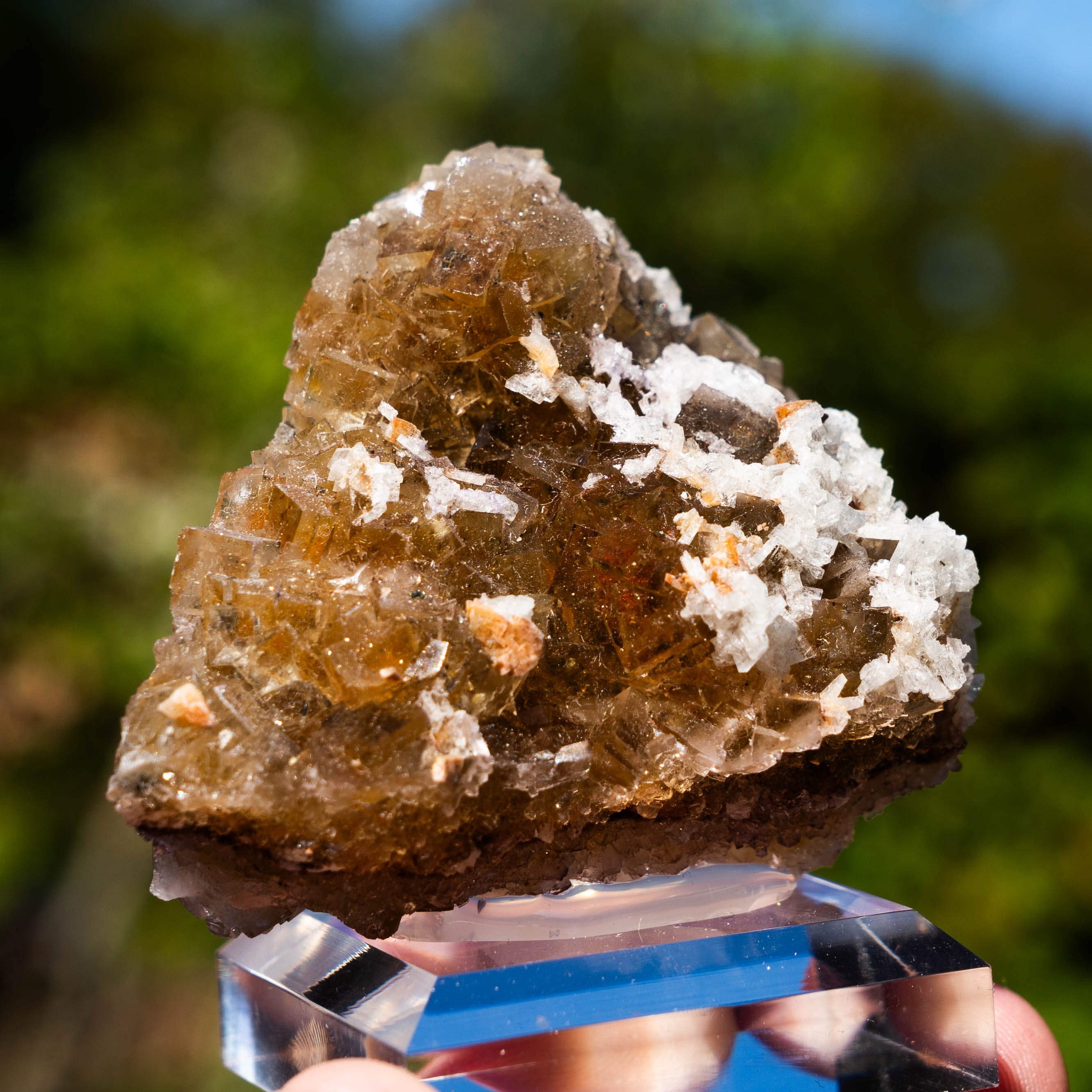  fluorite moscona spain