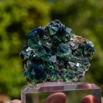 fluoriet weardale pocket42