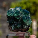 fluoriet weardale pocket42