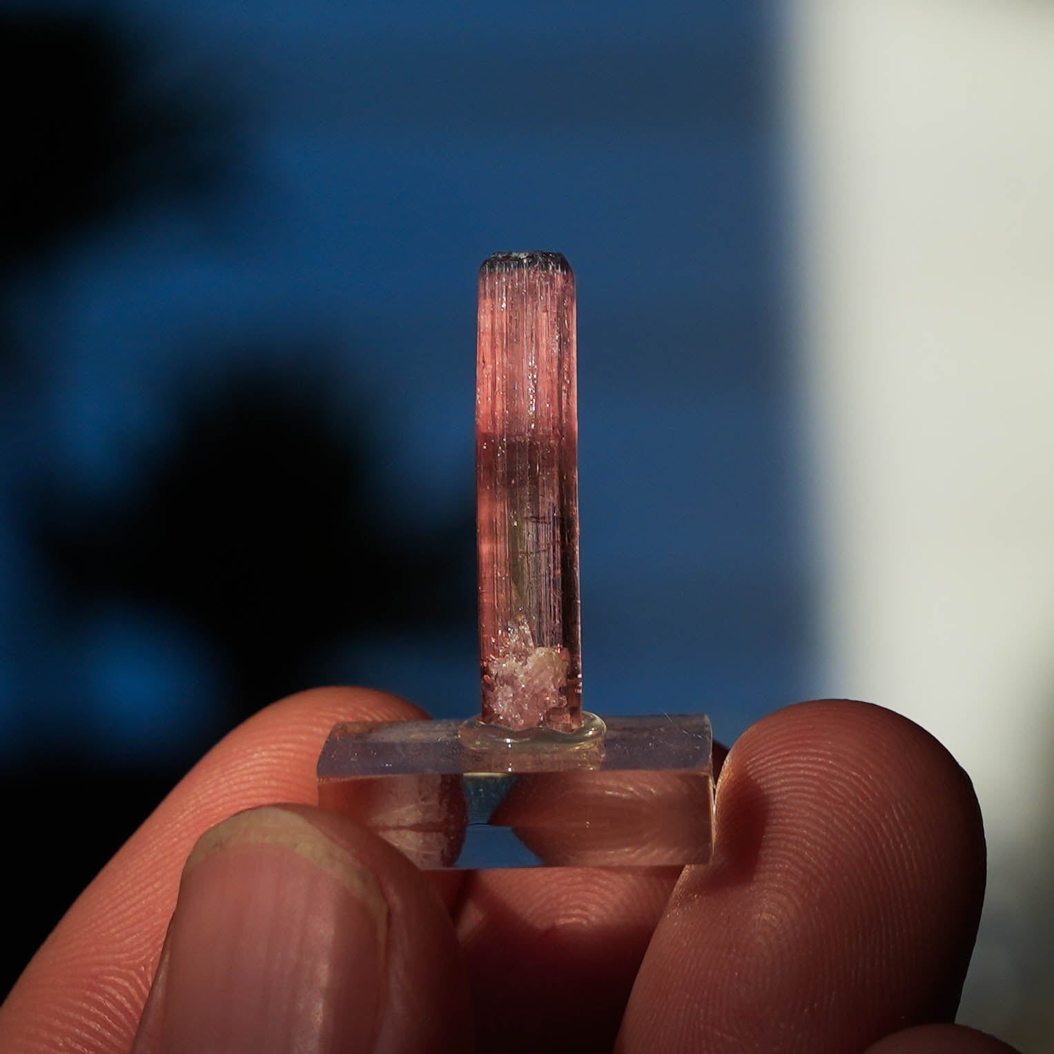 roze toermalijn afghanistan