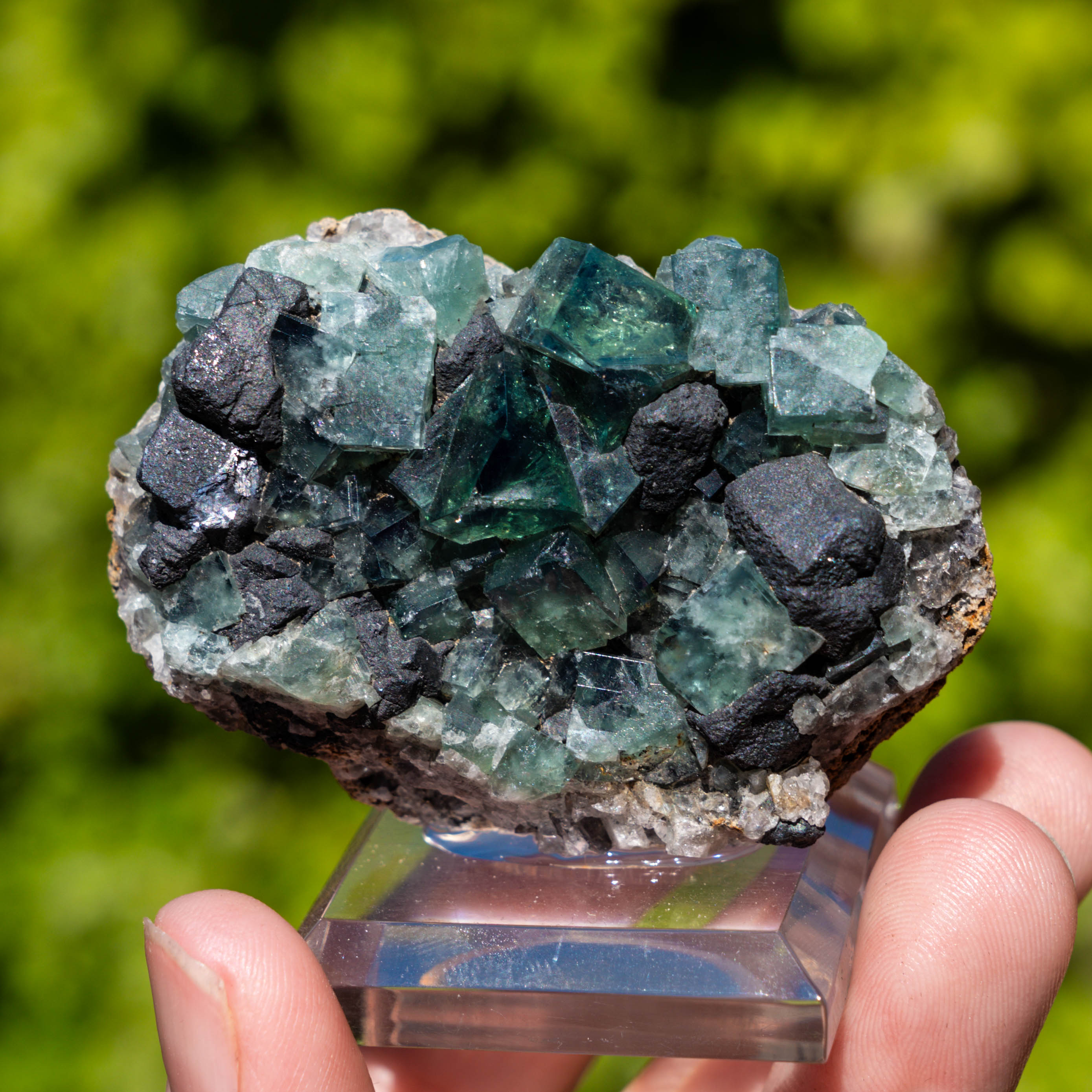 Fluoriet uit Weardale #2