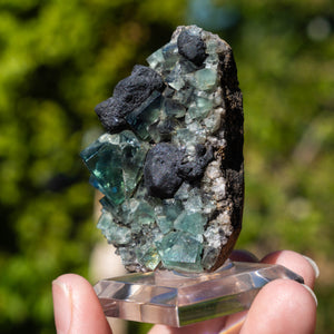 Fluoriet uit Weardale #3