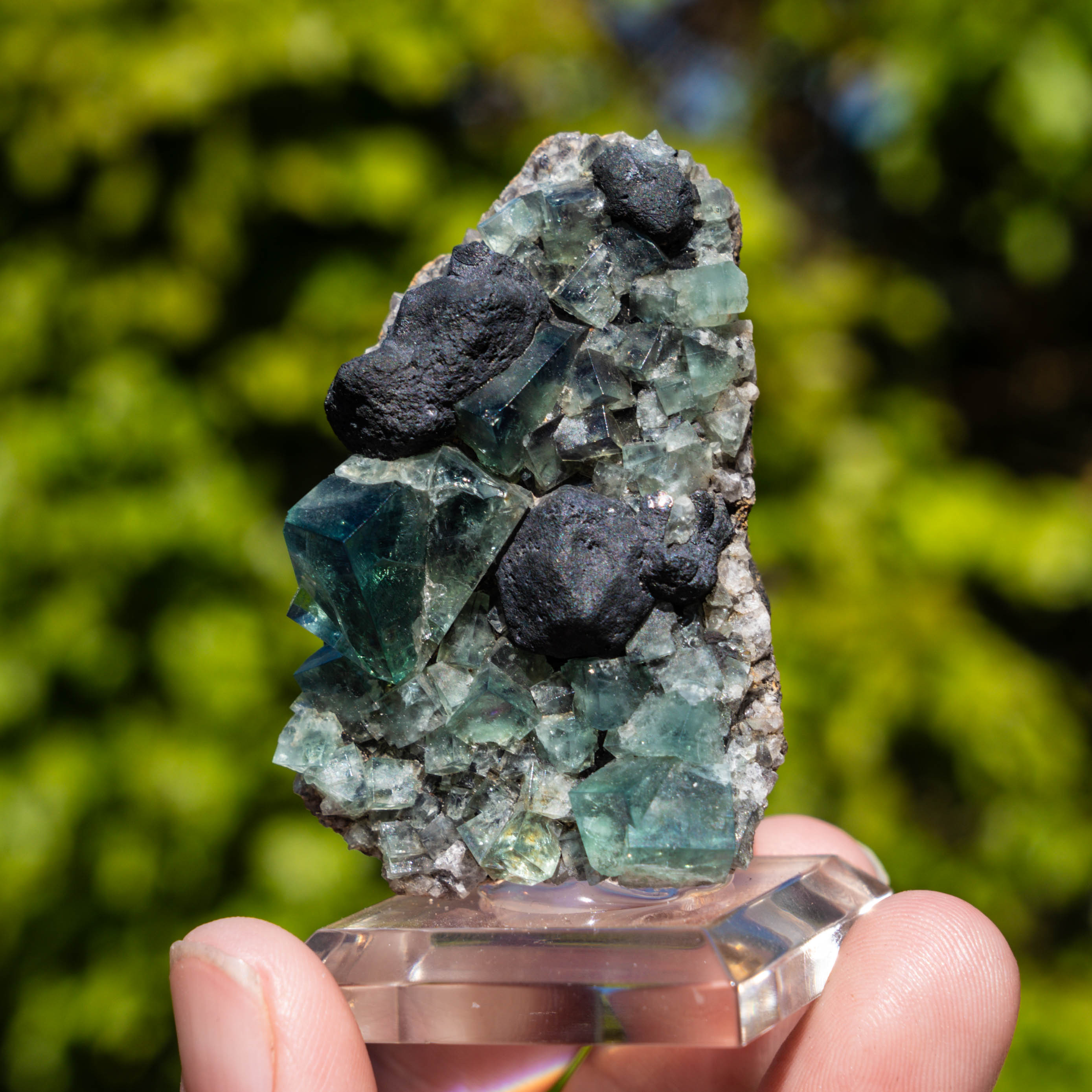 Fluoriet uit Weardale #3