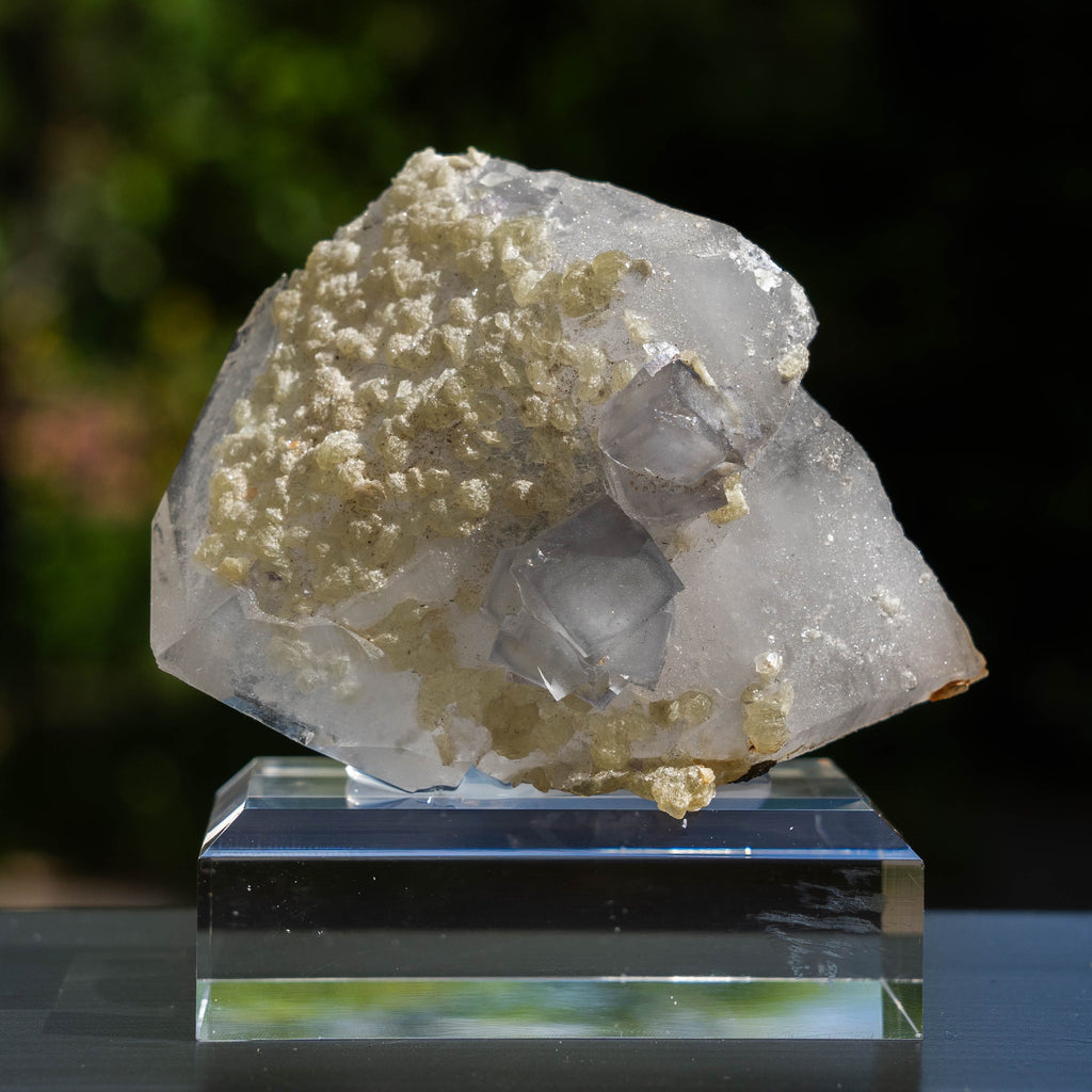fluoriet calciet yaogangxian