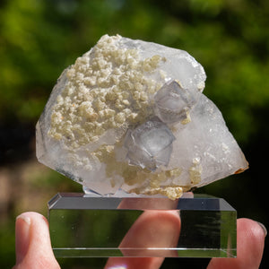 fluoriet calciet yaogangxian