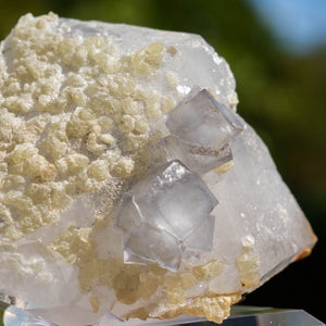 fluoriet calciet yaogangxian