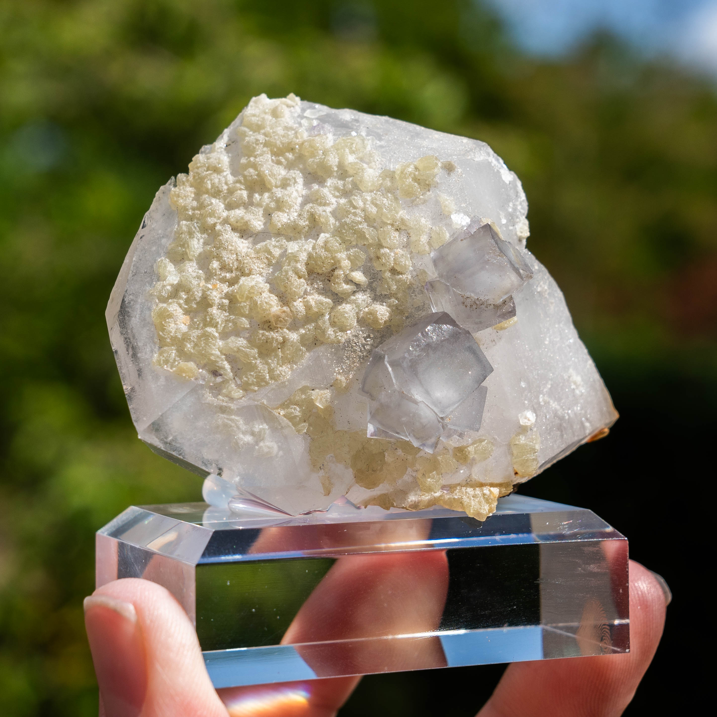 fluoriet calciet yaogangxian