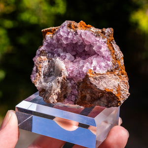 Cobalto calciet Marokko