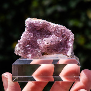 cobalto calciet Marokko