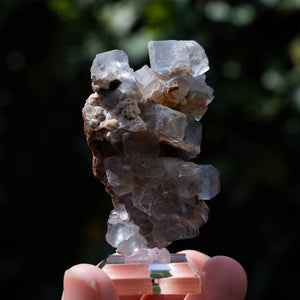 fluoriet collada spanje