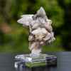Calciet uit Bulgarije #2