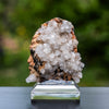 calciet bulgarije