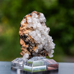 calciet bulgarije