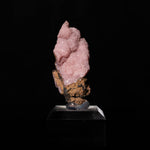 Rhodochrosiet Zuid-Afrika n'chwaning