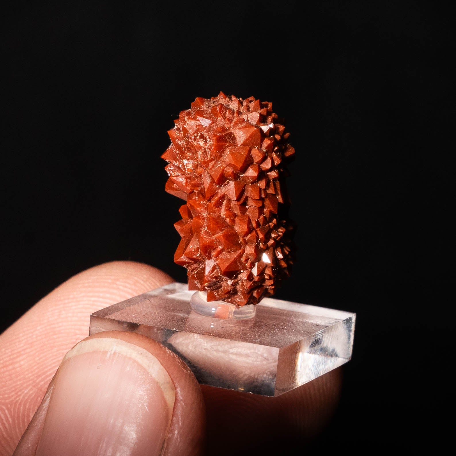 rode kwarts valencia spanje