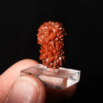 rode kwarts valencia spanje