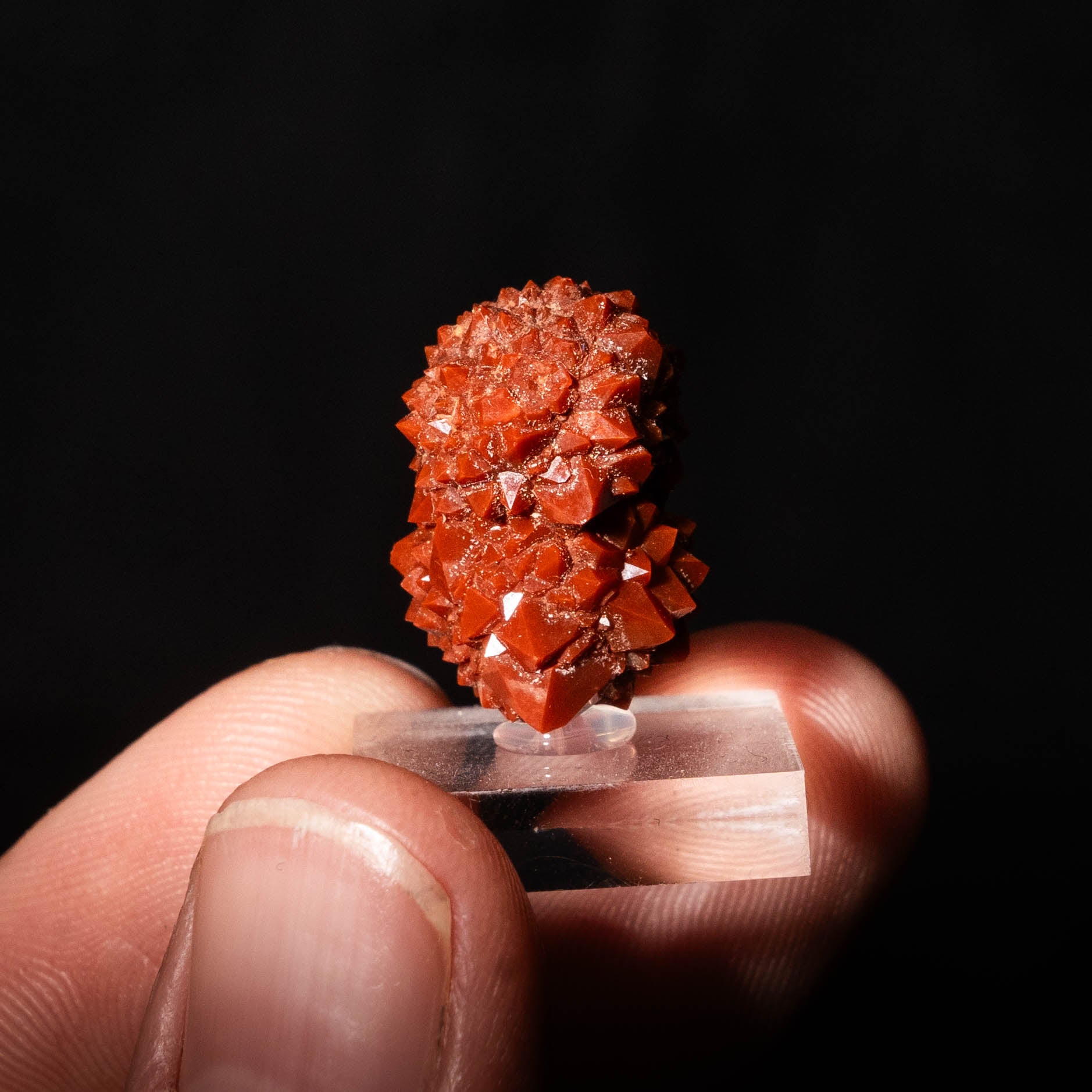 rode kwarts valencia spanje