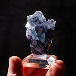 fluoriet yindu china