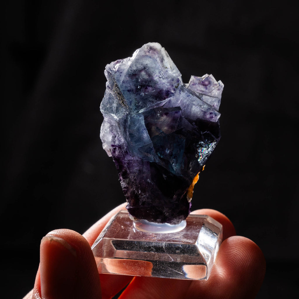 fluoriet yindu china