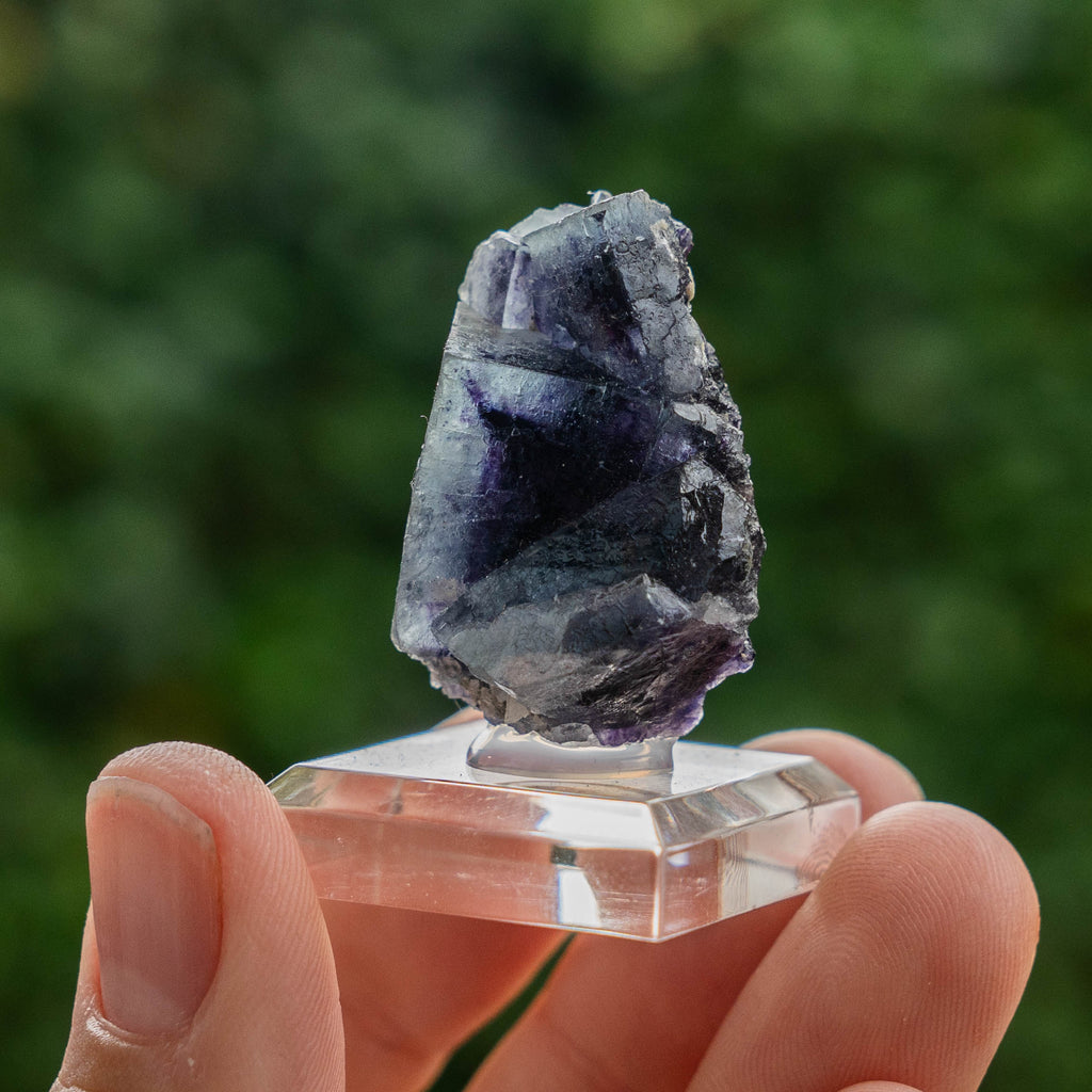 fluoriet yindu china