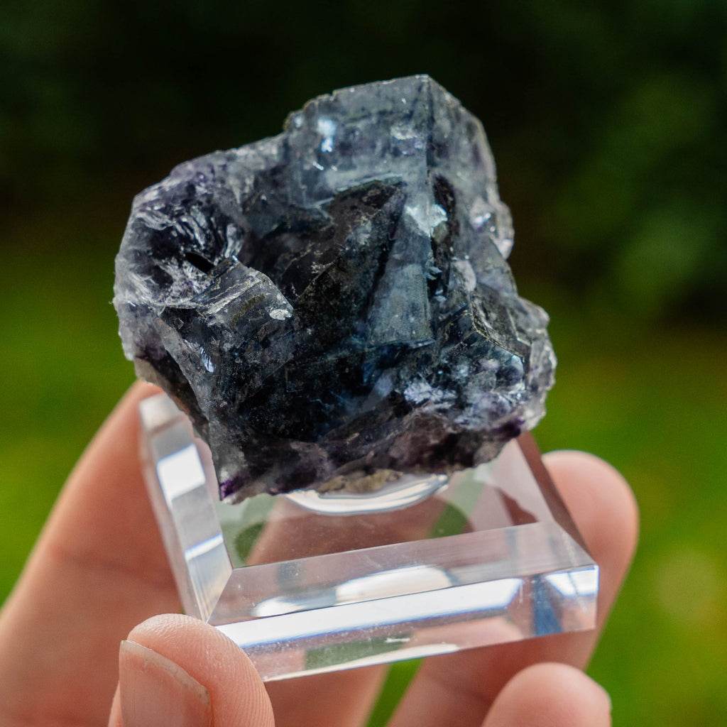 fluoriet yindu china