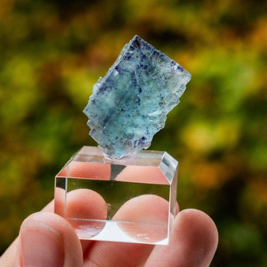 fluoriet yindu china