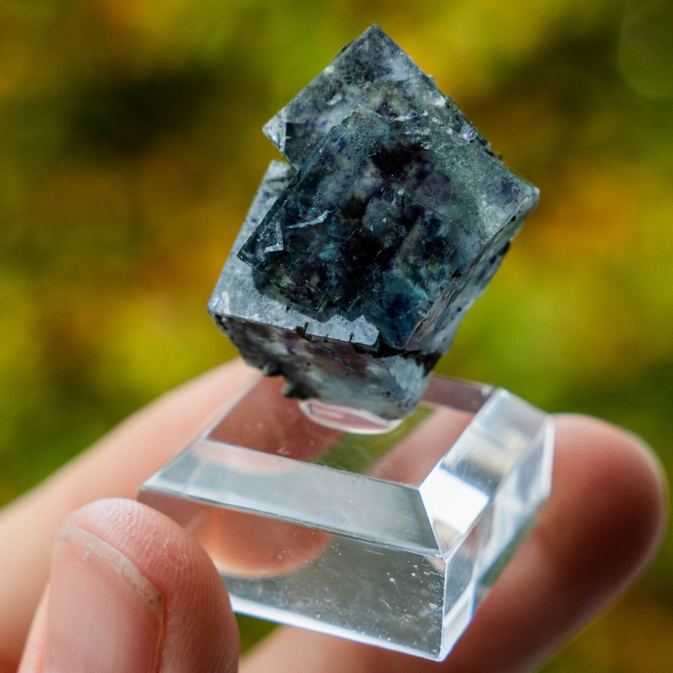 fluoriet yindu china