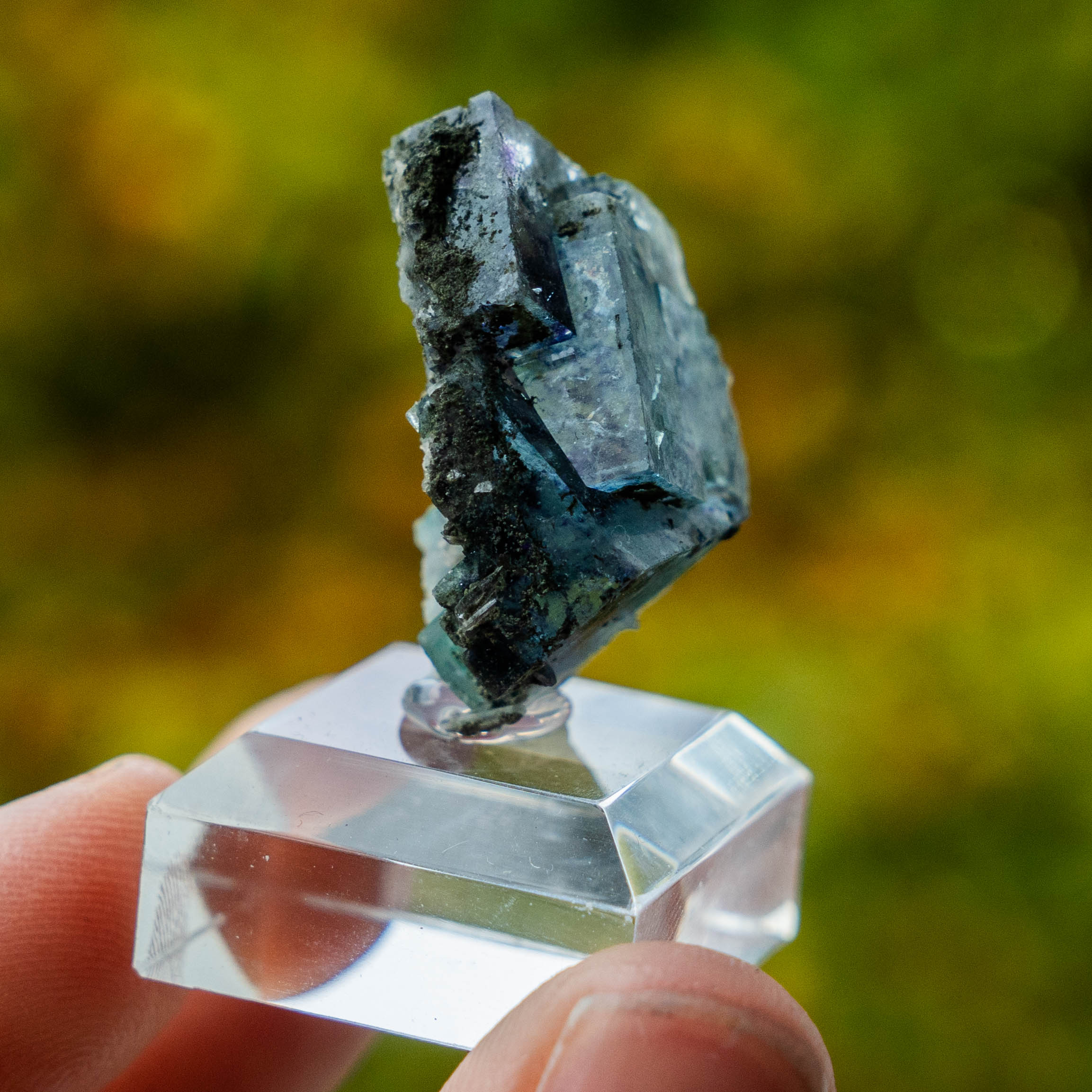 fluoriet yindu china