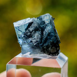 fluoriet yindu china