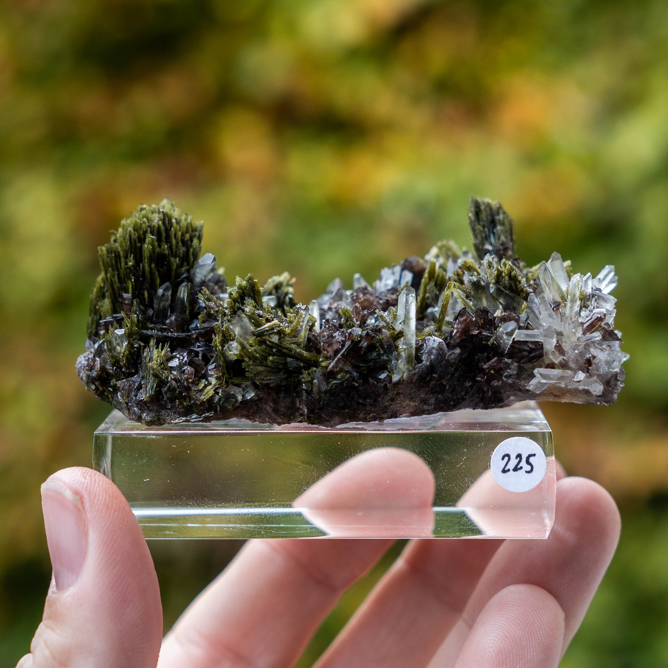 axiniet kwarts epidoot peru