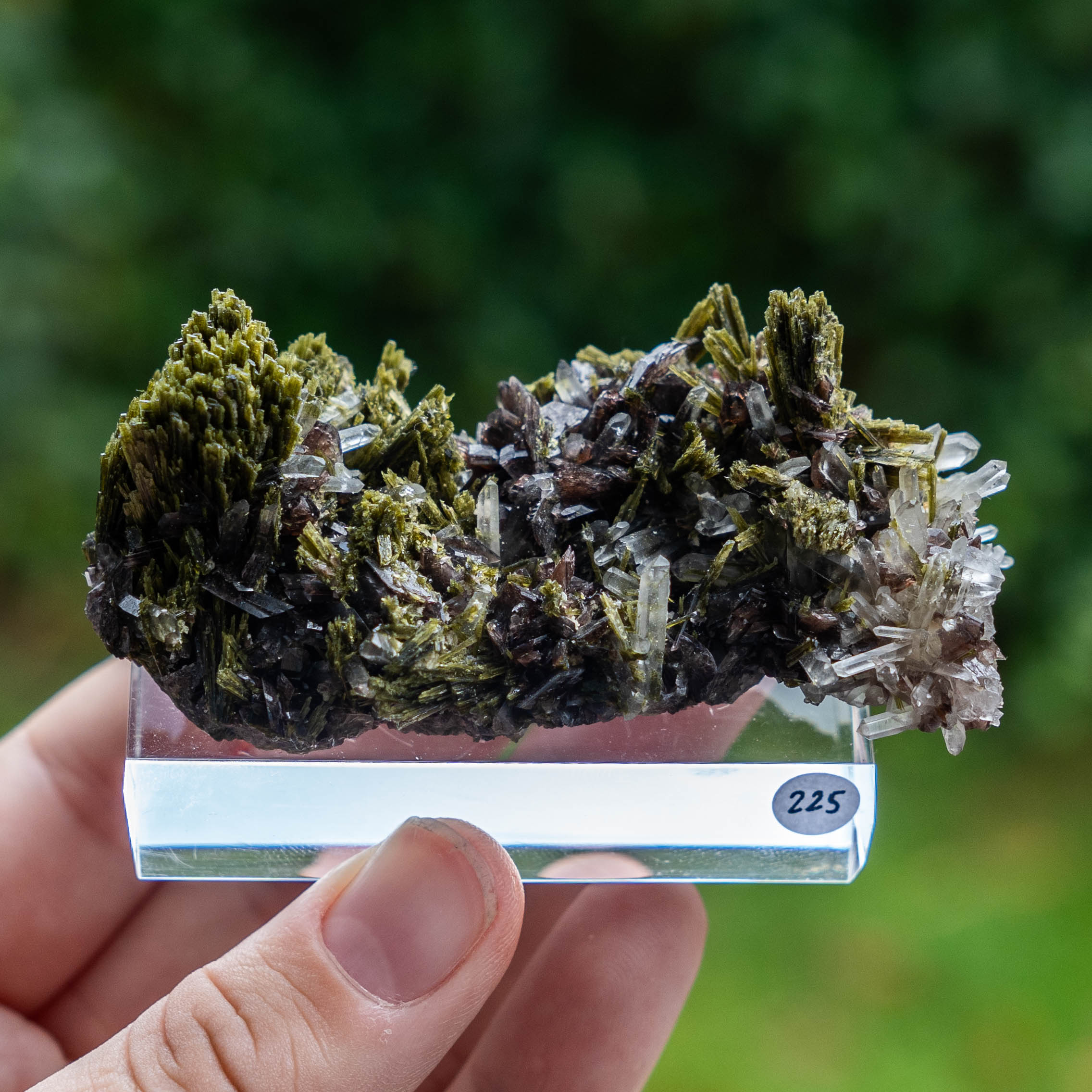 axiniet kwarts epidoot peru