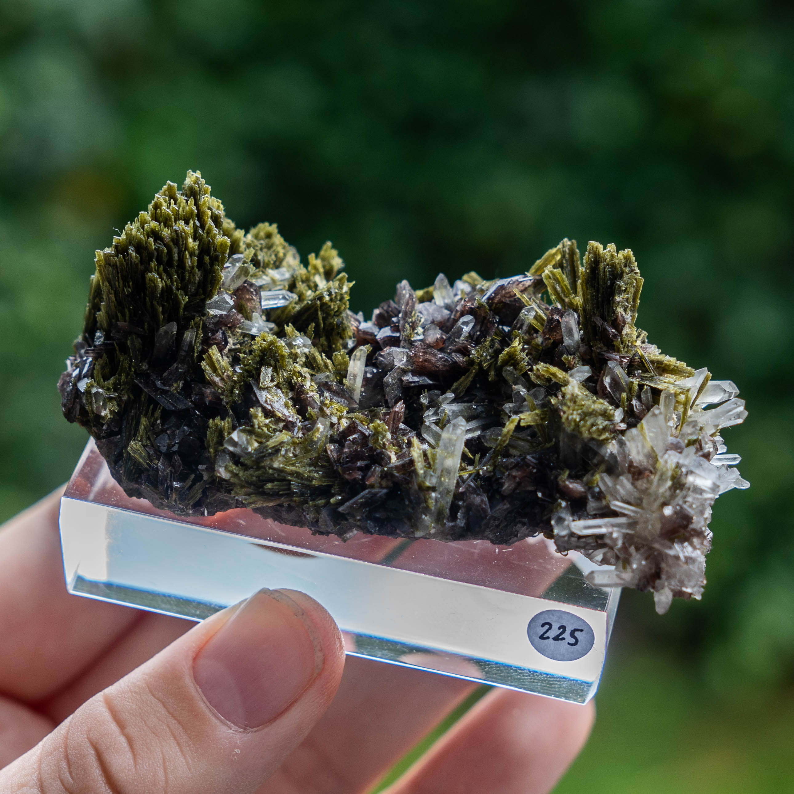 axiniet kwarts epidoot peru